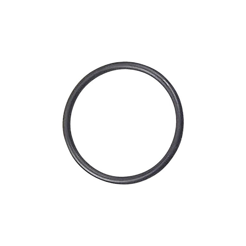 Rubber ring ( Ø 7.4 cm )