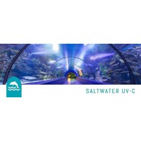 Chlorine and Saltwater Resistant Swimming Pool Water UV-C Treatment Systems